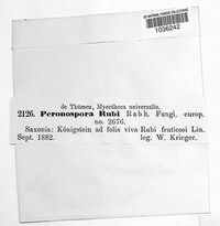 Image Associated With the Occurence